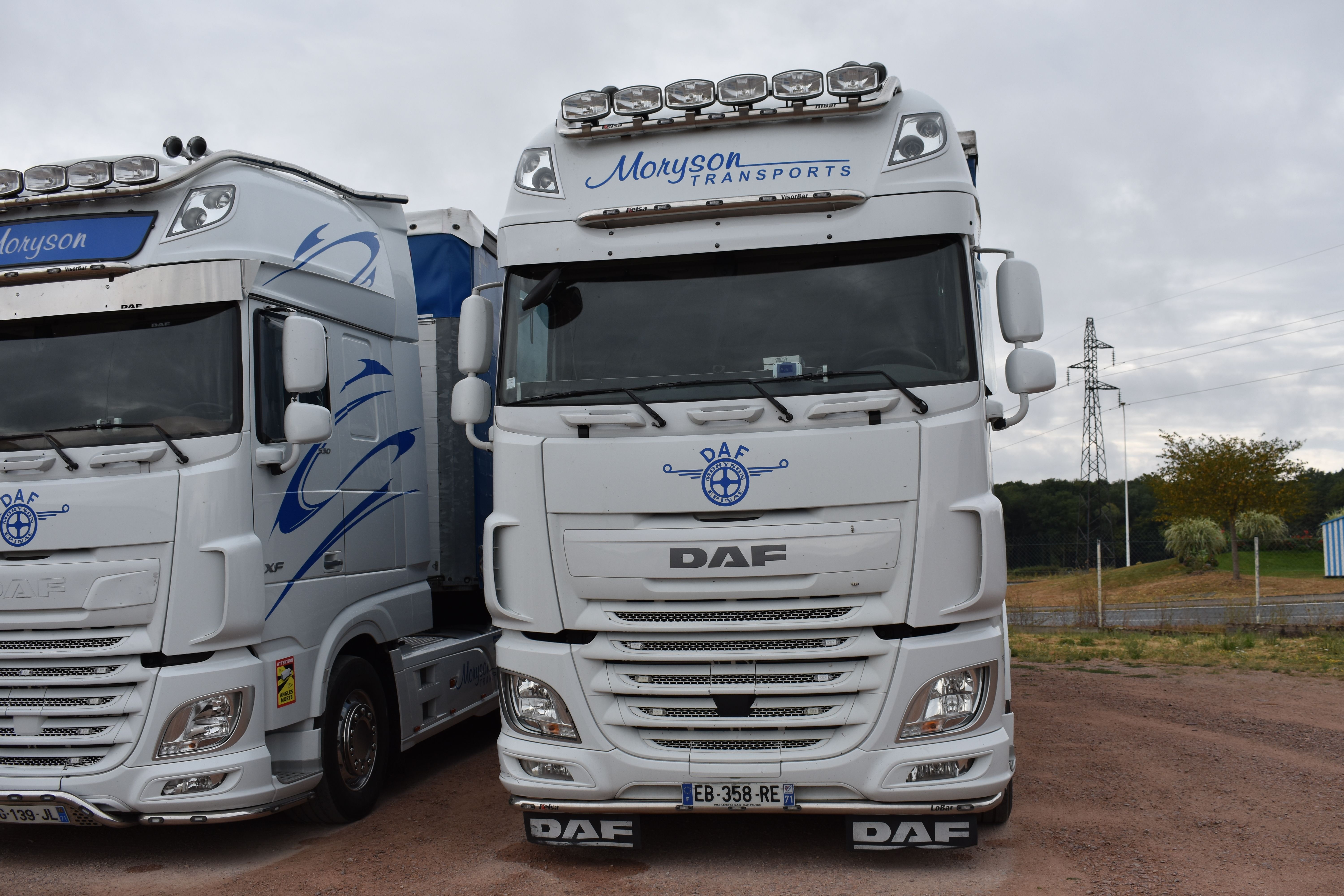 Transport Moryson 12